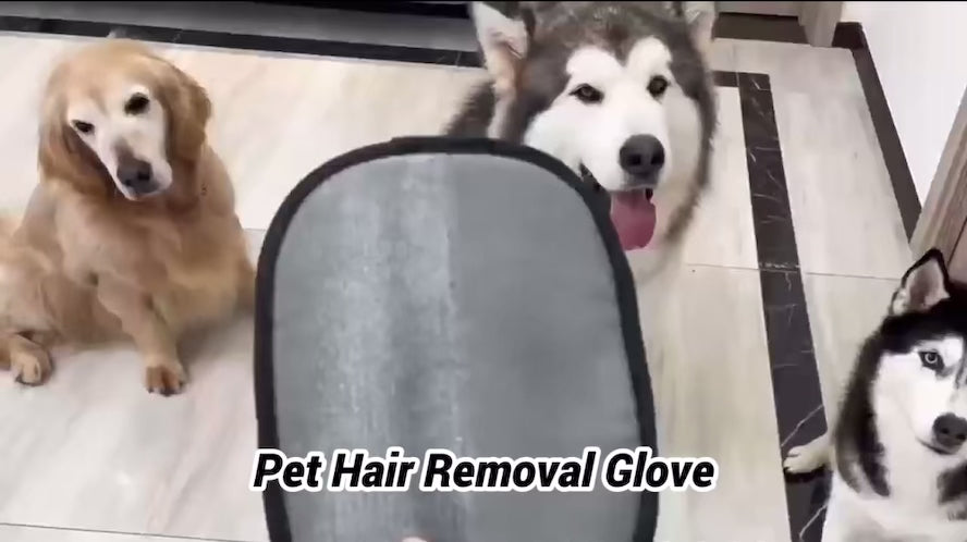 Hair Removal Glove
